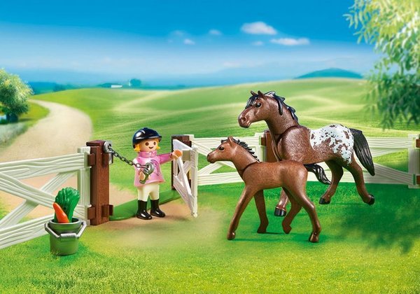 Playmobil Country 6931 Paardenweide