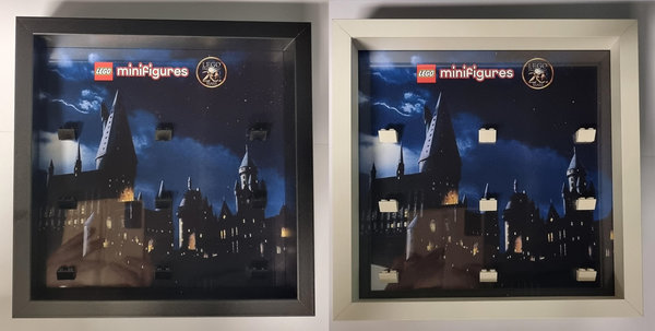 Lego Display Harry Potter 20 Years